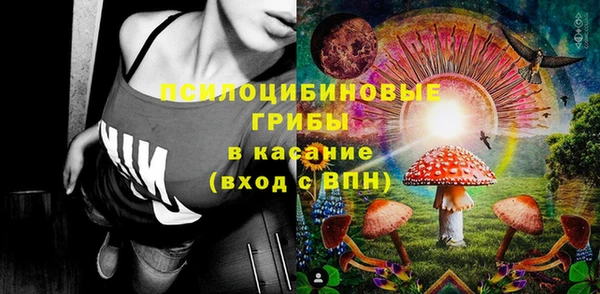 винт Алексеевка