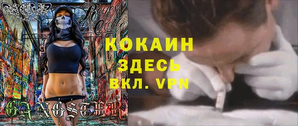 прущие грибы Алзамай