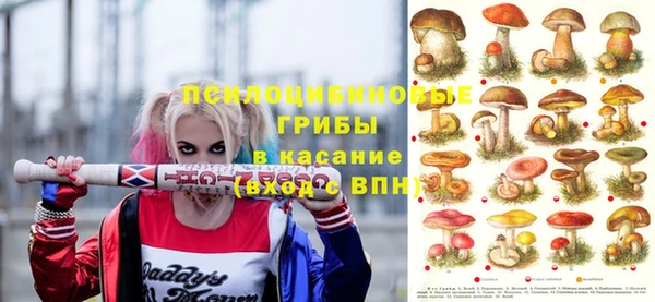винт Алексеевка