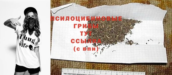 прущие грибы Алзамай