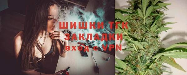 spice Новозыбков