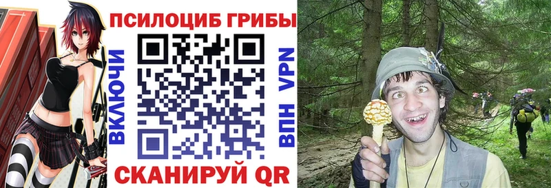 Галлюциногенные грибы Cubensis дарнет шоп Фатеж